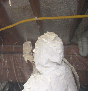 Fort Wayne IL crawl space insulation